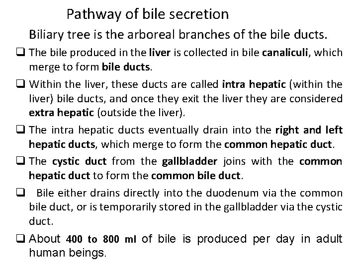 Pathway of bile secretion Biliary tree is the arboreal branches of the bile ducts.