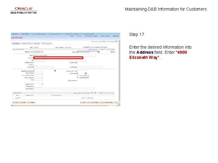 Maintaining D&B Information for Customers Step 17 Enter the desired information into the Address