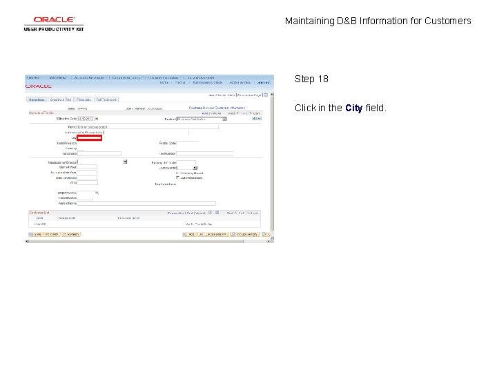 Maintaining D&B Information for Customers Step 18 Click in the City field. 