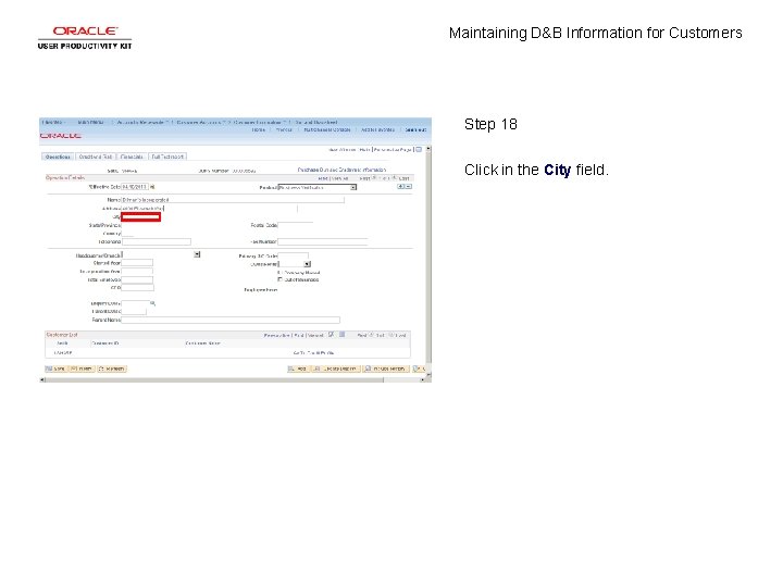 Maintaining D&B Information for Customers Step 18 Click in the City field. 