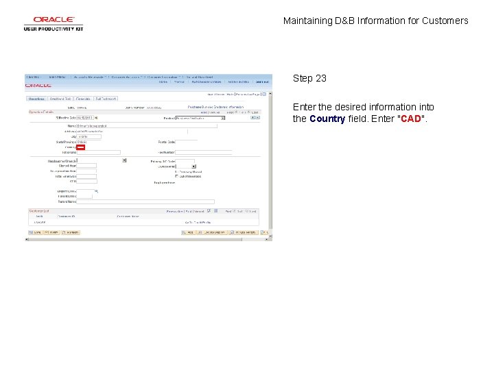 Maintaining D&B Information for Customers Step 23 Enter the desired information into the Country