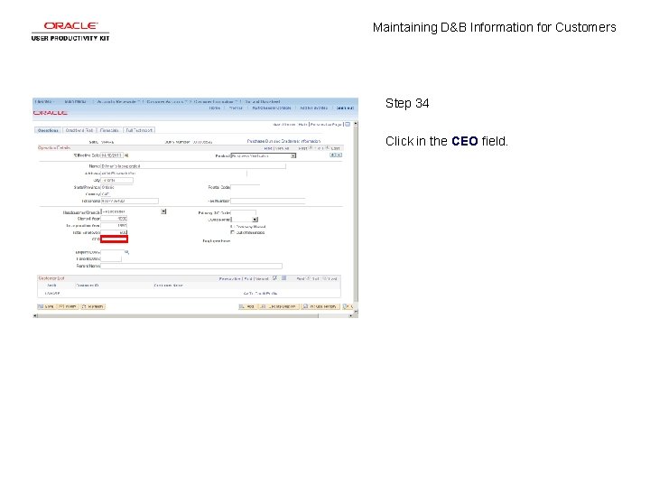 Maintaining D&B Information for Customers Step 34 Click in the CEO field. 