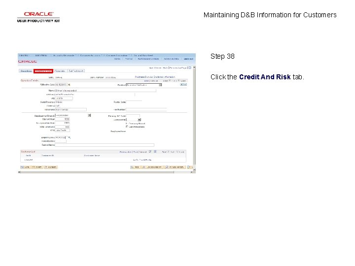 Maintaining D&B Information for Customers Step 38 Click the Credit And Risk tab. 