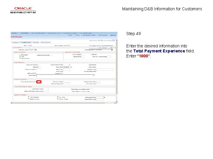 Maintaining D&B Information for Customers Step 49 Enter the desired information into the Total
