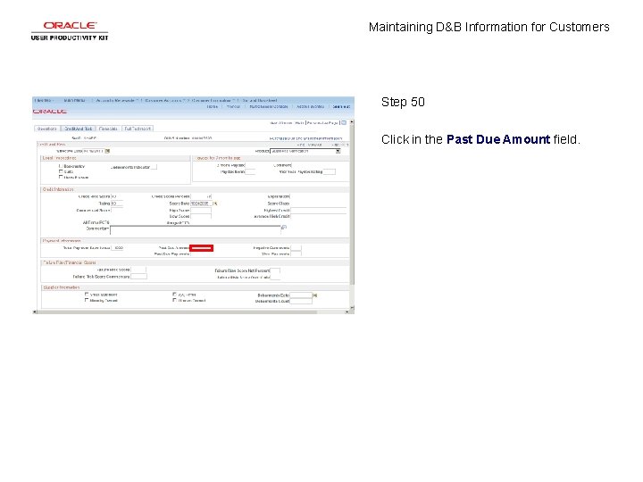 Maintaining D&B Information for Customers Step 50 Click in the Past Due Amount field.