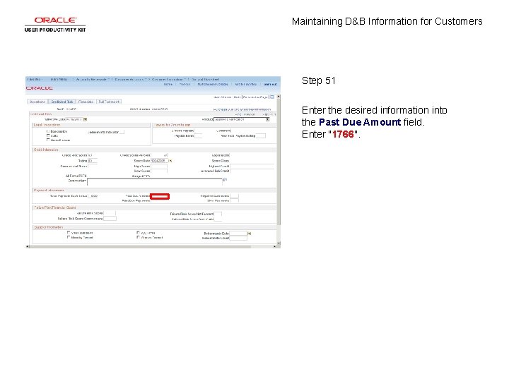 Maintaining D&B Information for Customers Step 51 Enter the desired information into the Past