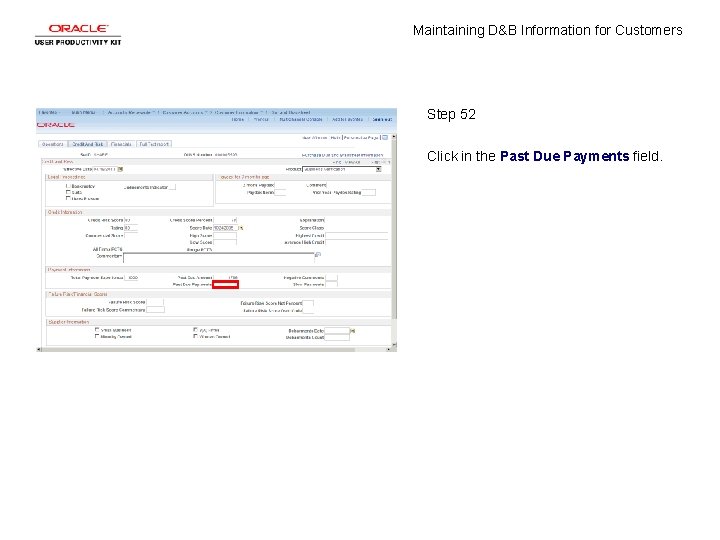 Maintaining D&B Information for Customers Step 52 Click in the Past Due Payments field.