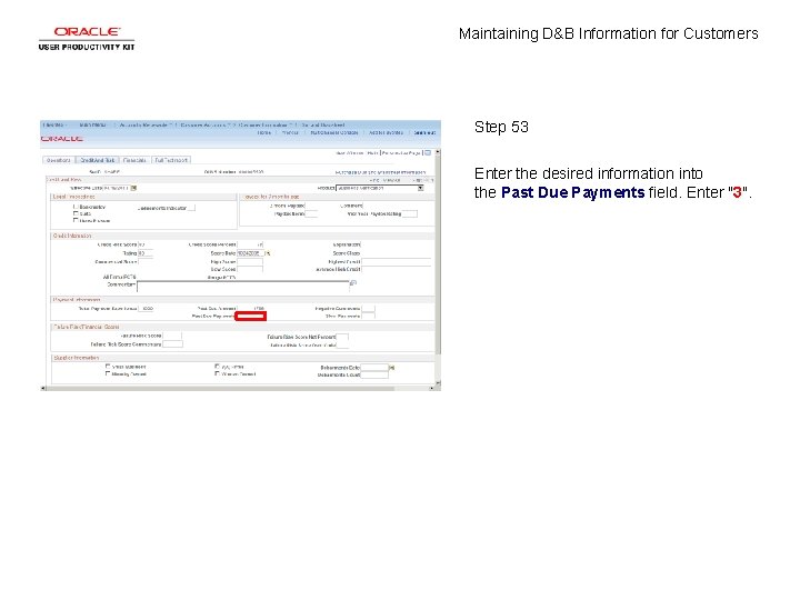 Maintaining D&B Information for Customers Step 53 Enter the desired information into the Past