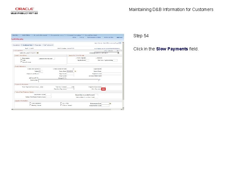 Maintaining D&B Information for Customers Step 54 Click in the Slow Payments field. 