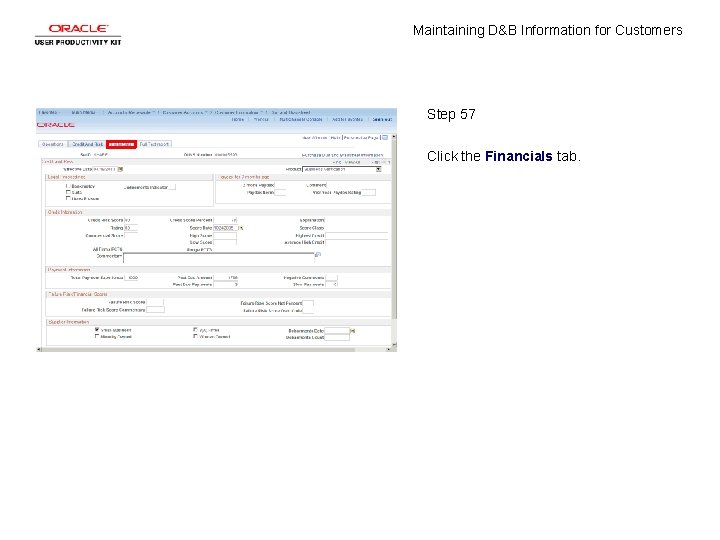 Maintaining D&B Information for Customers Step 57 Click the Financials tab. 