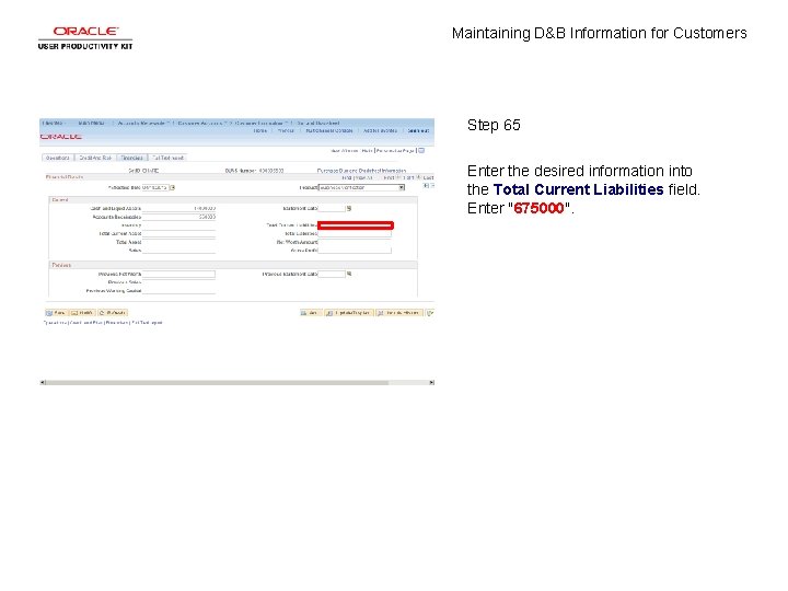 Maintaining D&B Information for Customers Step 65 Enter the desired information into the Total