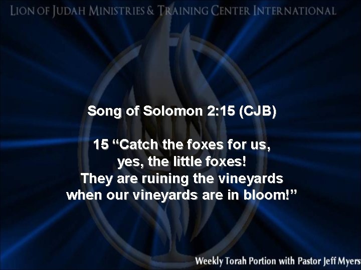 Song of Solomon 2: 15 (CJB) 15 “Catch the foxes for us, yes, the