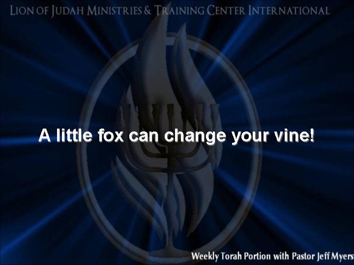 A little fox can change your vine! 