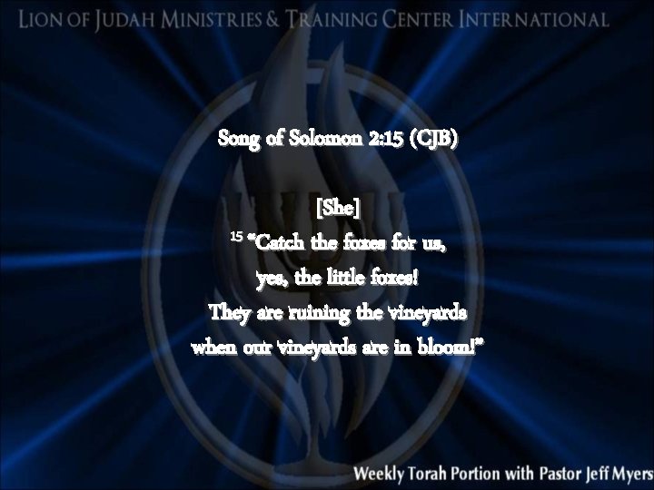 Song of Solomon 2: 15 (CJB) [She] 15 “Catch the foxes for us, yes,