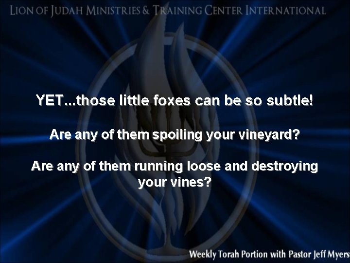 YET. . . those little foxes can be so subtle! Are any of them