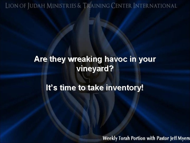 Are they wreaking havoc in your vineyard? It’s time to take inventory! 