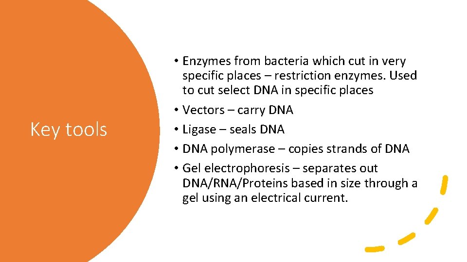 Key tools • Enzymes from bacteria which cut in very specific places – restriction