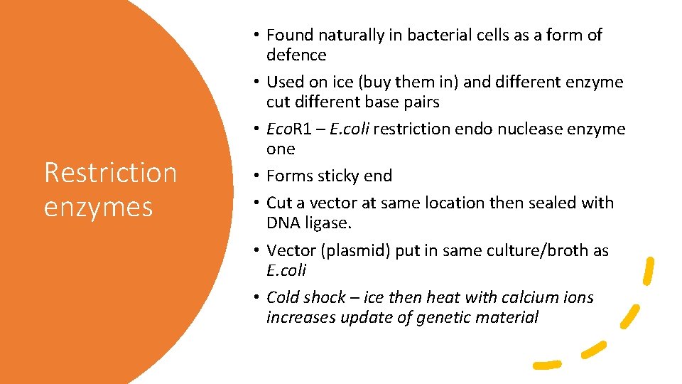 Restriction enzymes • Found naturally in bacterial cells as a form of defence •