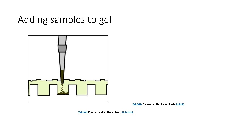 Adding samples to gel This Photo by Unknown Author is licensed under CC BY-SA-NC