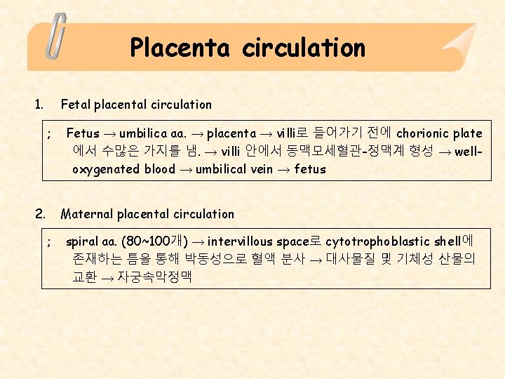 Placenta circulation 1. Fetal placental circulation ; 2. Fetus → umbilica aa. → placenta