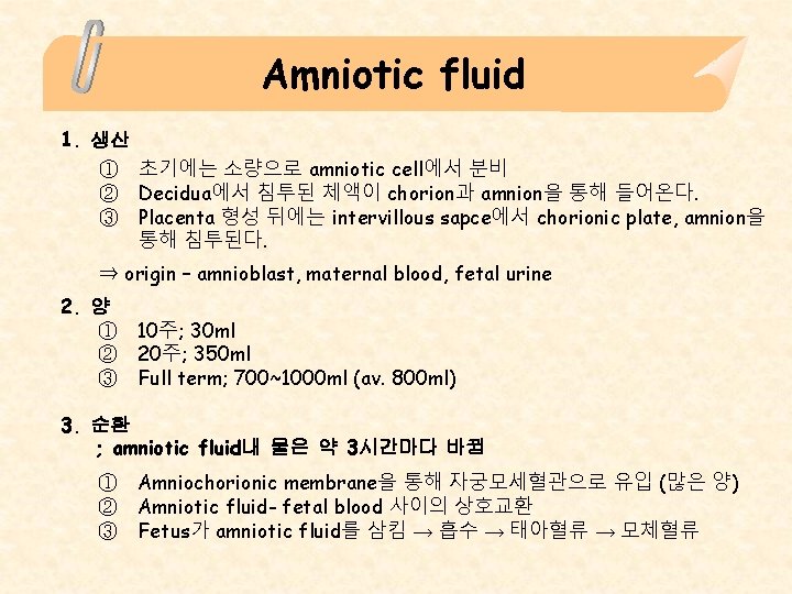 Amniotic fluid 1. 생산 ① 초기에는 소량으로 amniotic cell에서 분비 ② Decidua에서 침투된 체액이