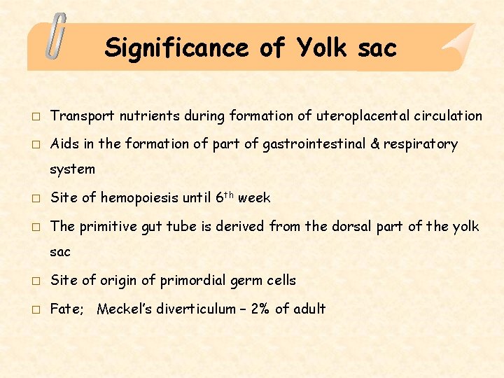 Significance of Yolk sac � Transport nutrients during formation of uteroplacental circulation � Aids