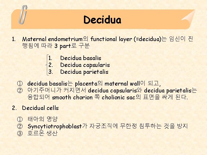 Decidua 1. Maternal endometrium의 functional layer (=decidua)는 임신이 진 행됨에 따라 3 part로 구분