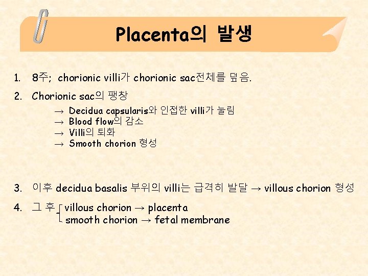 Placenta의 발생 1. 8주; chorionic villi가 chorionic sac전체를 덮음. 2. Chorionic sac의 팽창 →
