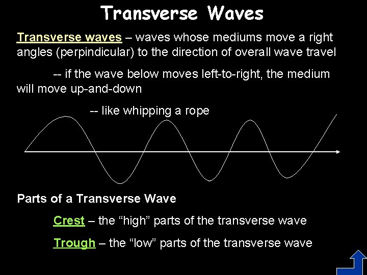Transverse Waves Transverse waves – waves whose mediums move a right angles (perpindicular) to