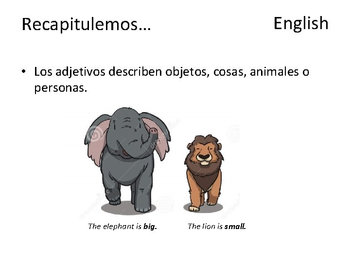 English Recapitulemos… • Los adjetivos describen objetos, cosas, animales o personas. The elephant is