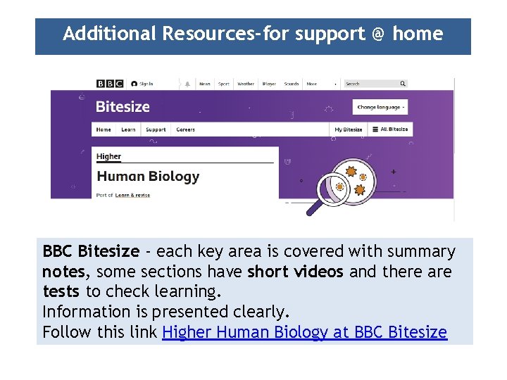 Additional Resources-for support @ home BBC Bitesize - each key area is covered with