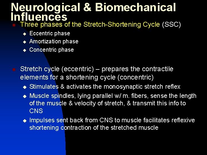 Neurological & Biomechanical Influences n Three phases of the Stretch-Shortening Cycle (SSC) u u