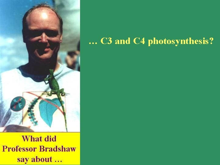 … C 3 and C 4 photosynthesis? 