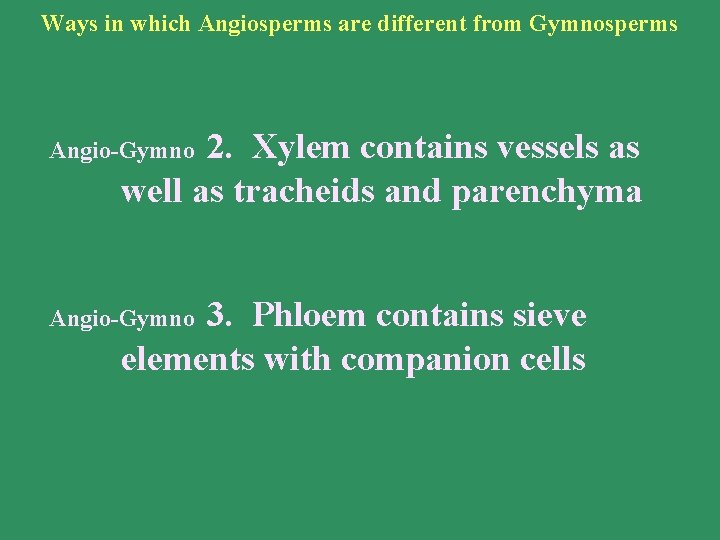 Ways in which Angiosperms are different from Gymnosperms 2. Xylem contains vessels as well
