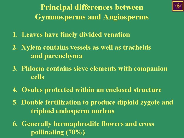 Principal differences between Gymnosperms and Angiosperms 1. Leaves have finely divided venation 2. Xylem