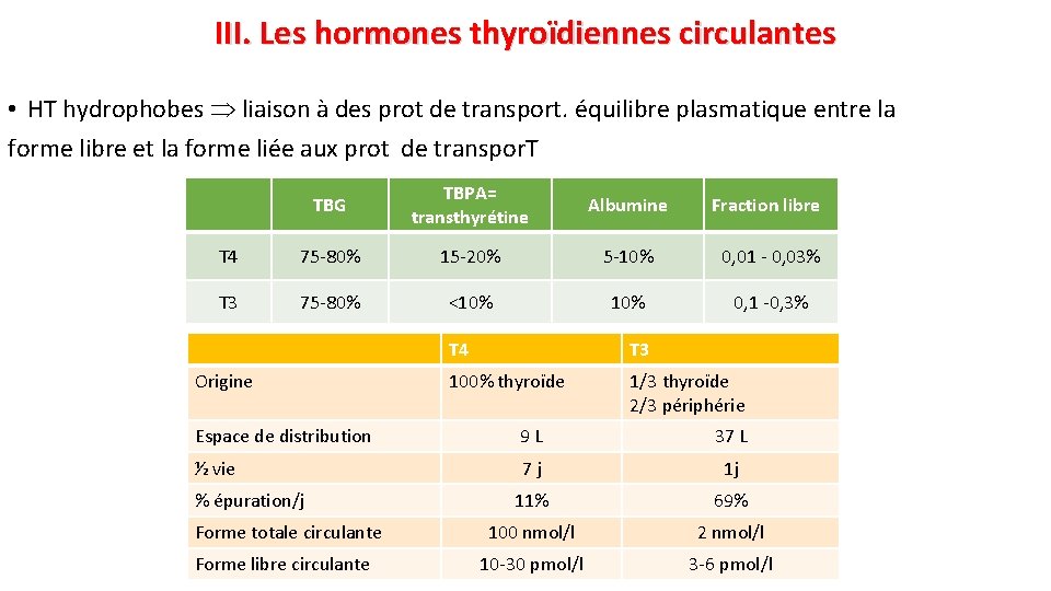 III. Les hormones thyroïdiennes circulantes • HT hydrophobes liaison à des prot de transport.