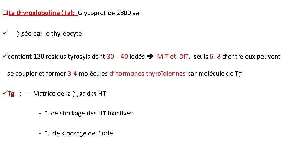 q. La thyroglobuline (Tg): Glycoprot de 2800 aa ü ∑sée par le thyréocyte ücontient