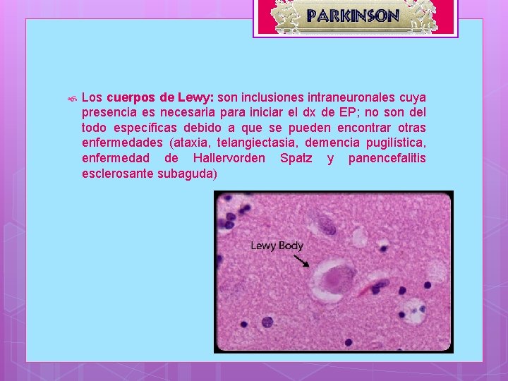  Los cuerpos de Lewy: son inclusiones intraneuronales cuya presencia es necesaria para iniciar