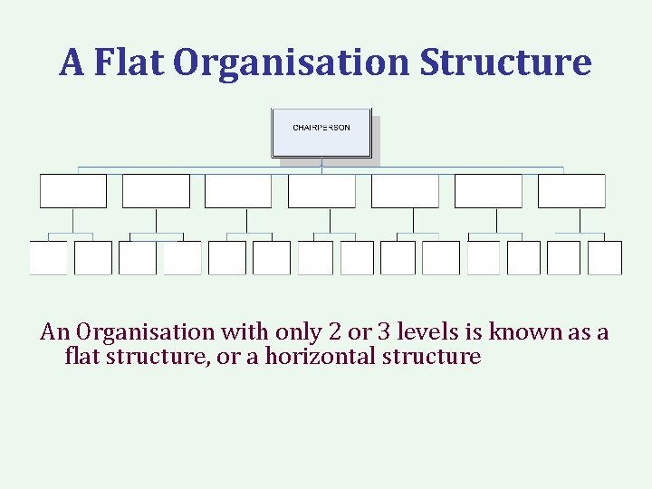 A Flat Organisation Structure An Organisation with only 2 or 3 levels is known