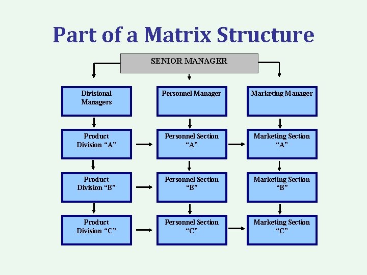 Part of a Matrix Structure SENIOR MANAGER Divisional Managers Personnel Manager Marketing Manager Product