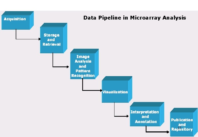 Data Pipeline in Microarray Analysis 17 