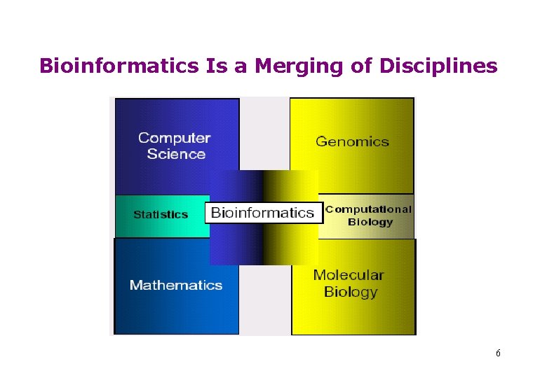 Bioinformatics Is a Merging of Disciplines 6 