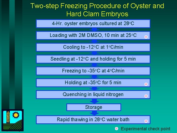 Two-step Freezing Procedure of Oyster and Hard Clam Embryos 4 -Hr. oyster embryos cultured