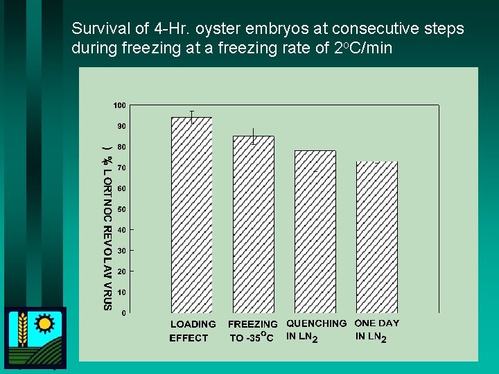 Survival of 4 -Hr. oyster embryos at consecutive steps during freezing at a freezing