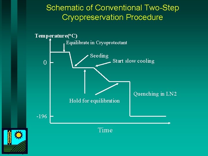 Schematic of Conventional Two-Step Cryopreservation Procedure Temperature(o. C) Equilibrate in Cryoprotectant 0 Seeding Start