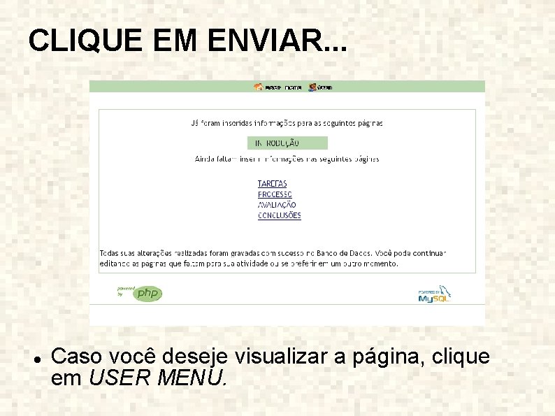 CLIQUE EM ENVIAR. . . Caso você deseje visualizar a página, clique em USER