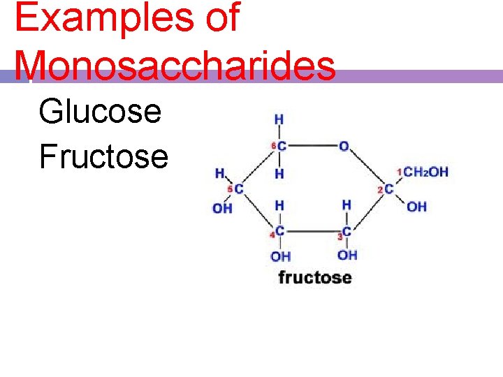 Examples of Monosaccharides Glucose Fructose 