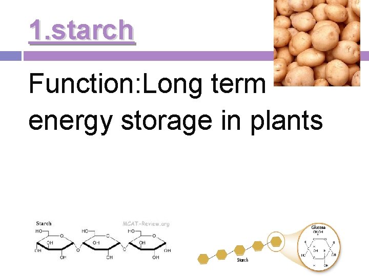 1. starch Function: Long term energy storage in plants 