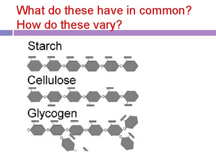 What do these have in common? How do these vary? 