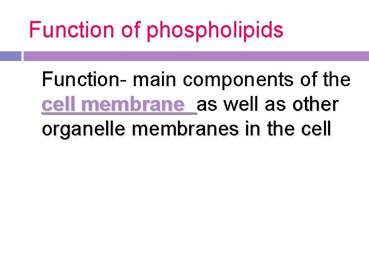 Function of phospholipids Function- main components of the cell membrane as well as other